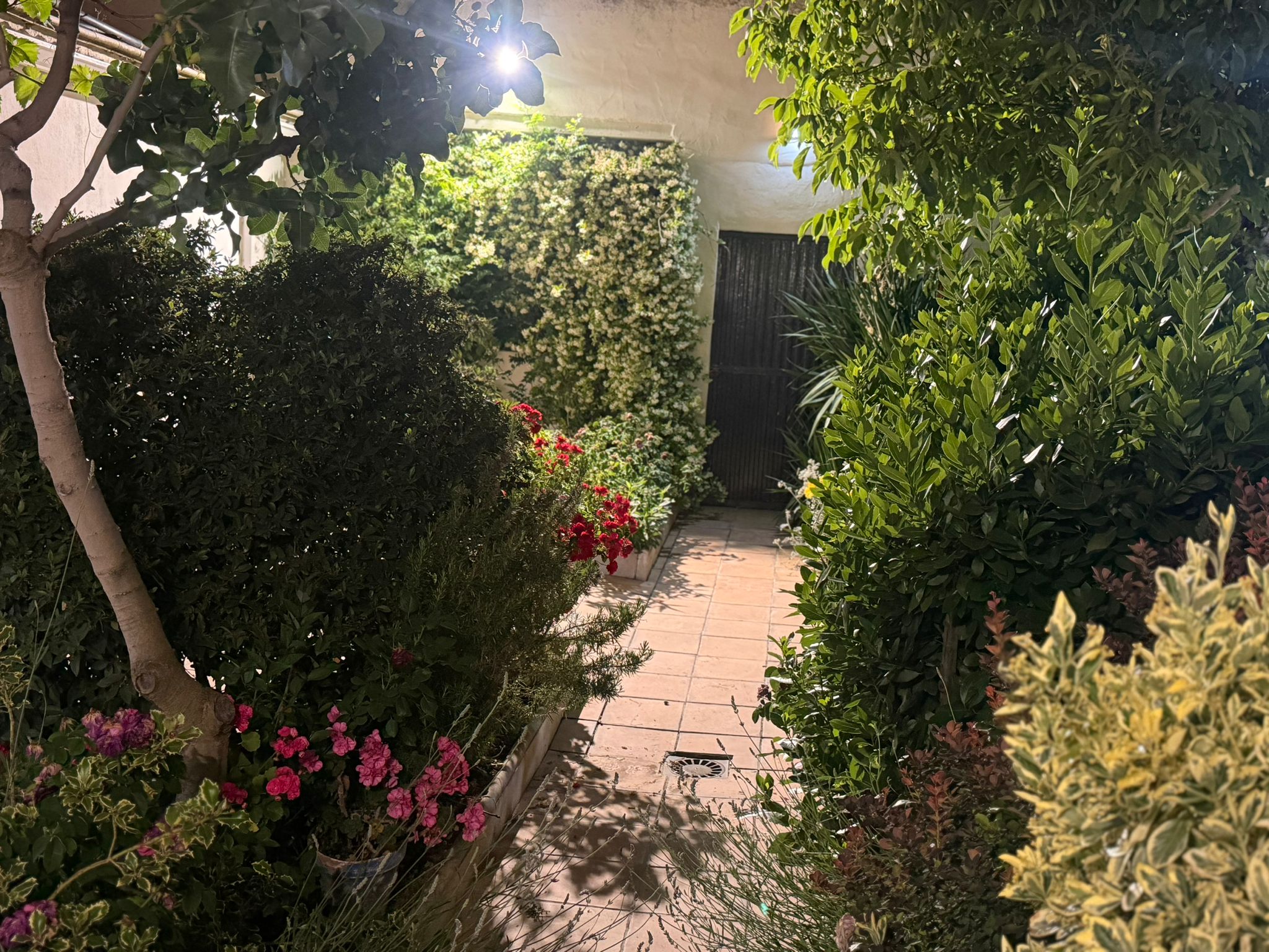 Camino del jardín de Casa Eufemia