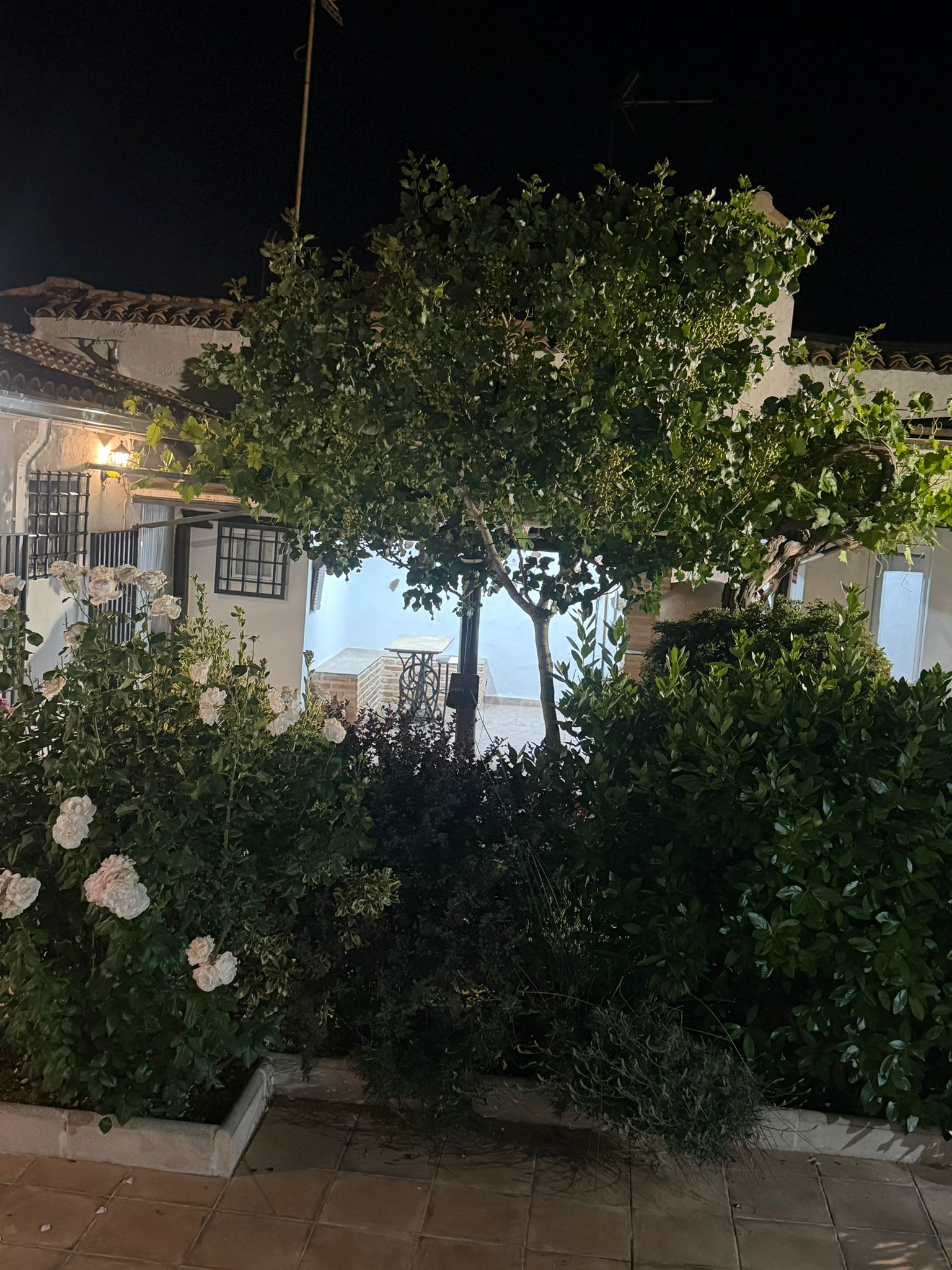 Jardín de la casa rural al anochecer