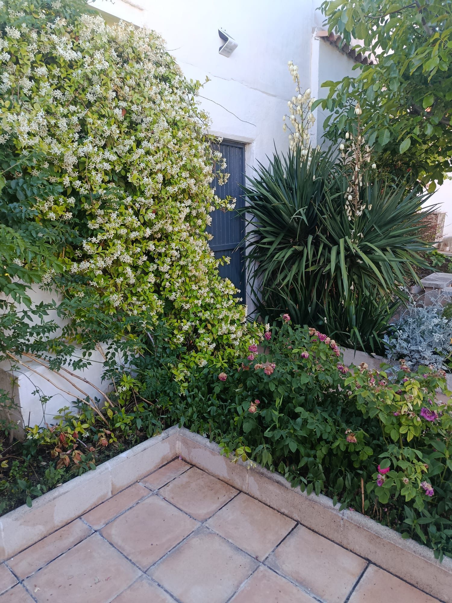 Jardín y piscina privada de Casa Eufemia