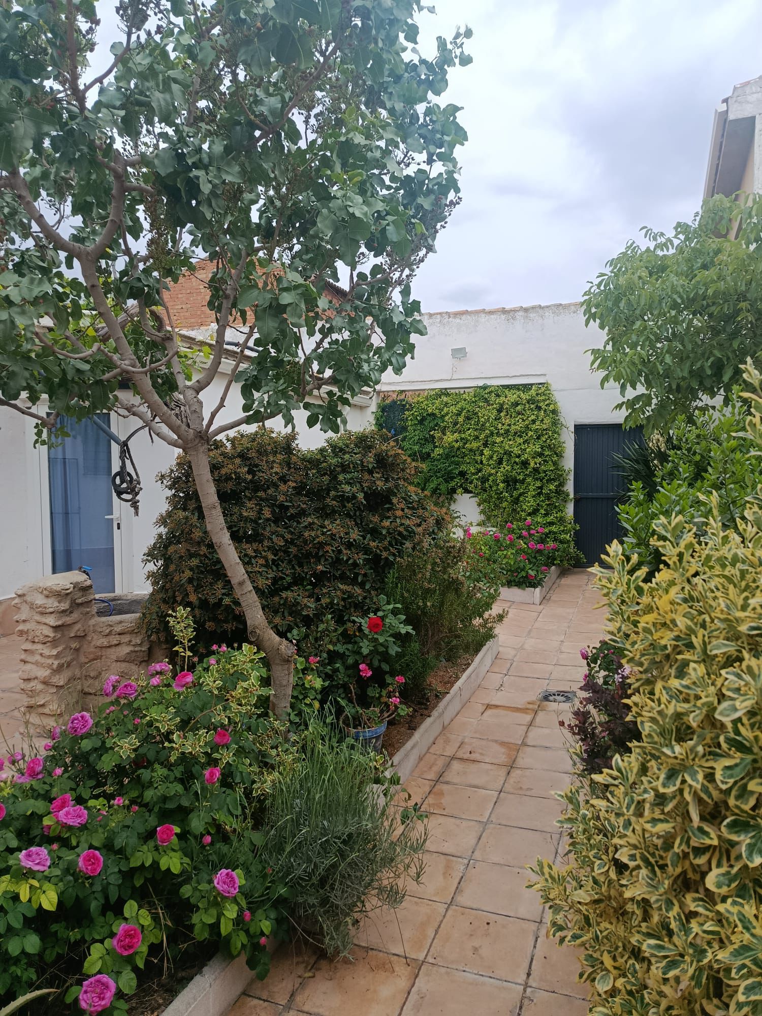 Jardín de la casa rural junto a la piscina