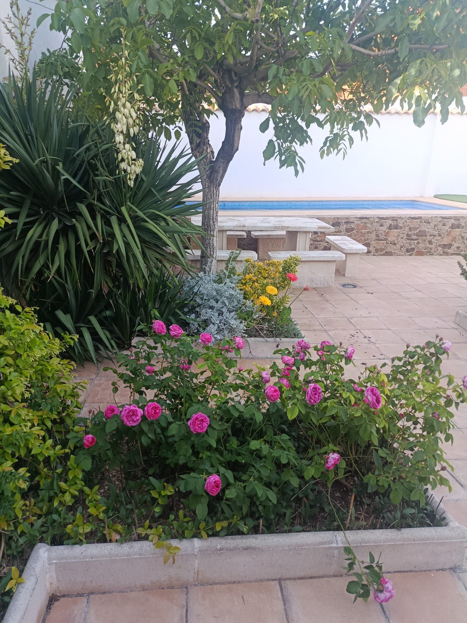 Flores junto a la piscina privada de Casa Eufemia