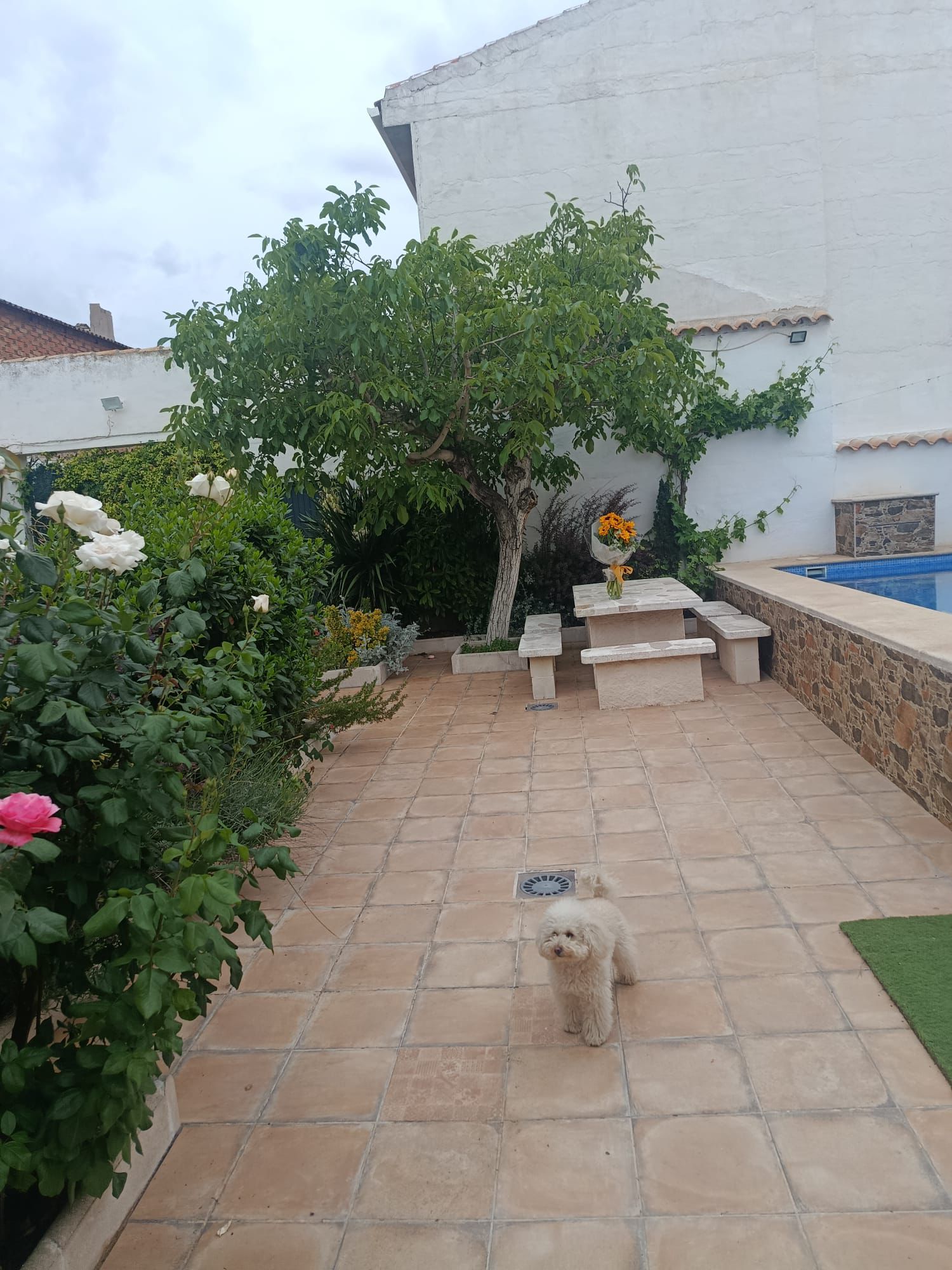 Entrada al patio y jardín de Casa Eufemia