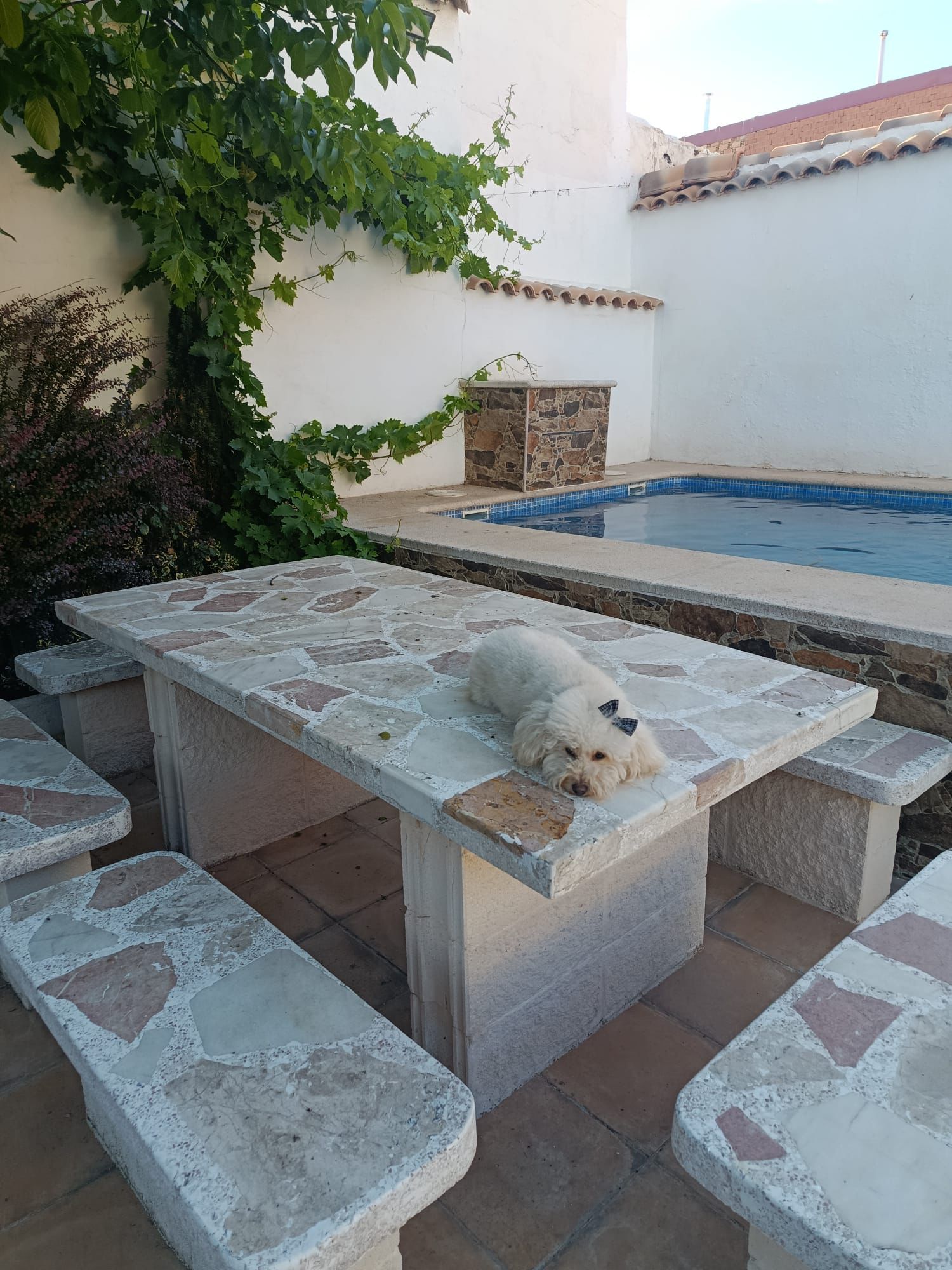 Rincón de descanso junto a la piscina