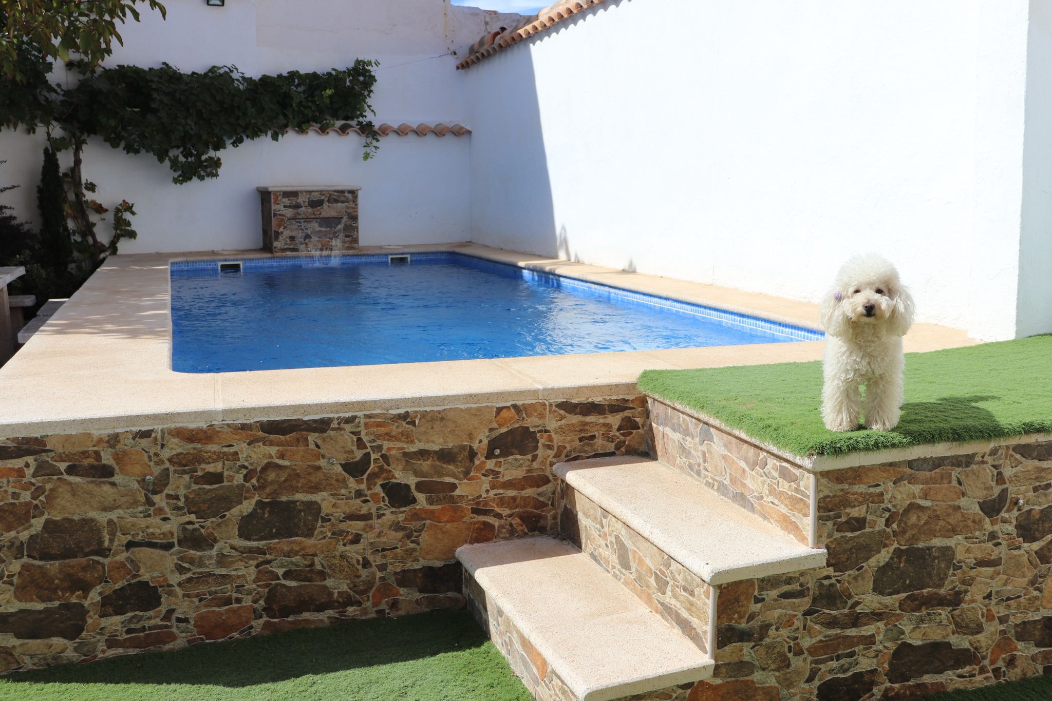 Piscina privada y jardín de Casa Eufemia