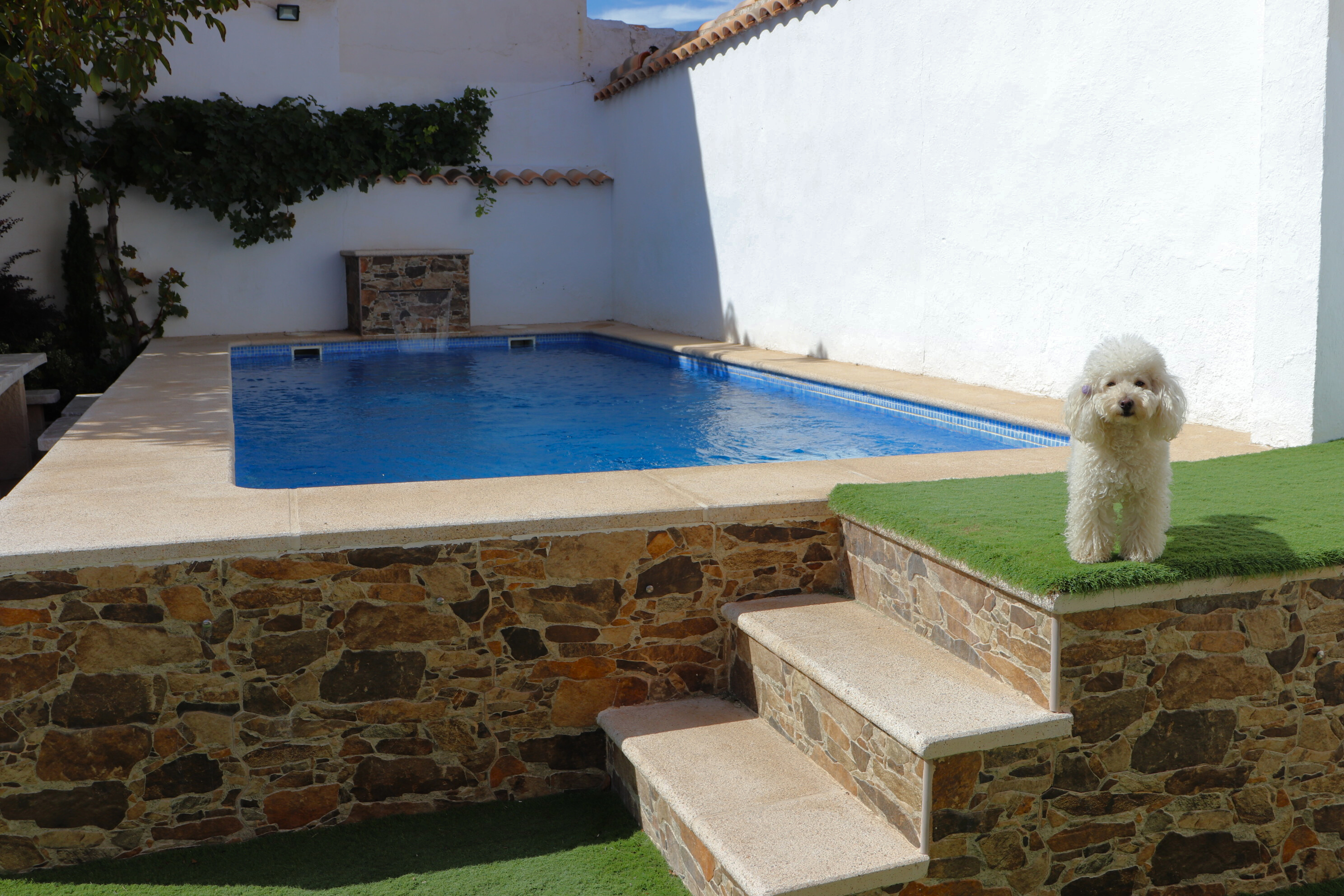 Piscina privada de Casa Eufemia en Arenales de San Gregorio